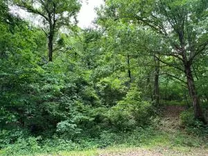 tbd 6401 6277, Jasper, AR 72641 photo 16