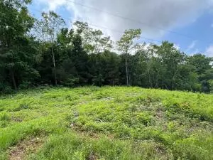 tbd 6401 6277, Jasper, AR 72641 photo 3