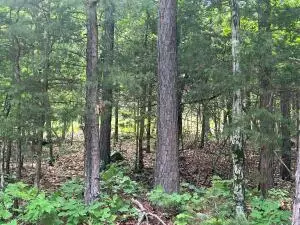 tbd 6401 6277, Jasper, AR 72641 photo 6