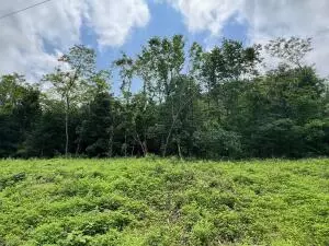 tbd 6401 6277, Jasper, AR 72641 photo 17