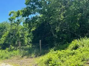 tbd 6401 6277, Jasper, AR 72641 photo 18