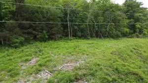 tbd 6401 6277, Jasper, AR 72641 photo 9