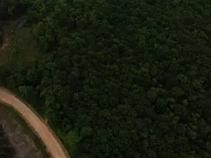 tbd 6401 6277, Jasper, AR 72641 photo 10