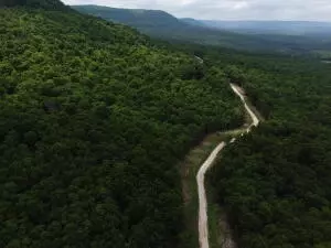 tbd 6401 6277, Jasper, AR 72641 photo 7
