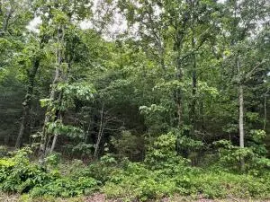tbd 6401 6277, Jasper, AR 72641 photo 14
