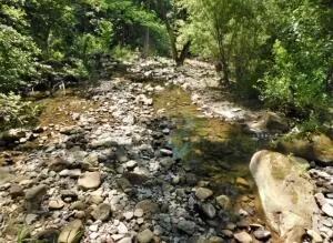 883 Nc 8700, Jasper, AR 72641 photo 2