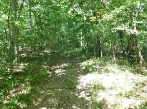883 Nc 8700, Jasper, AR 72641 photo 6