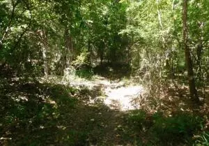 883 Nc 8700, Jasper, AR 72641 photo 5