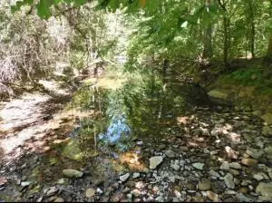 883 Nc 8700, Jasper, AR 72641
