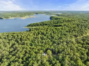 * Persimmon, Lead Hill, AR 72644 photo 8