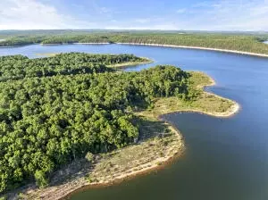 * Persimmon, Lead Hill, AR 72644