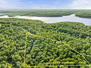 * Persimmon, Lead Hill, AR 72644 photo 2