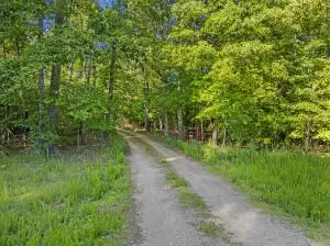 * Persimmon, Lead Hill, AR 72644 photo 3