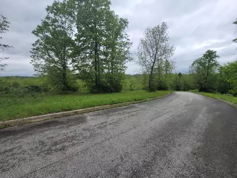 1668 Goff Rd, Harrison, AR 72601 photo 4