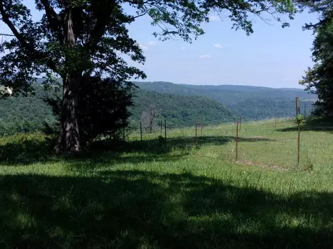 Hc 31 Box 128, Jasper, AR 72641 photo 23