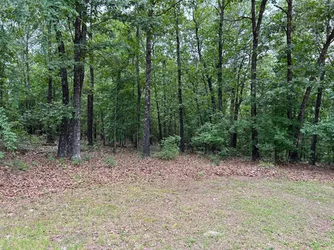 6529 Morgan Cave Rd, Harrison, AR 72601 photo 17