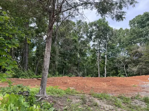 3980 Boat Mountain Rd, Harrison, AR 72601 photo 36