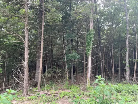 3980 Boat Mountain Rd, Harrison, AR 72601 photo 39
