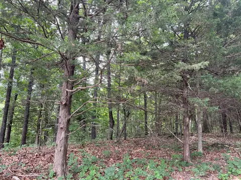 3980 Boat Mountain Rd, Harrison, AR 72601 photo 37