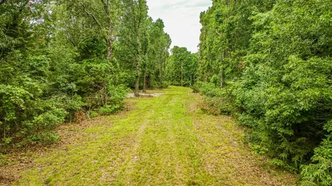 10363 Pecks Dr, Harrison, AR 72601 photo 5