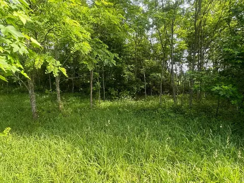 778 Nc 8872, Deer, AR 72628 photo 18