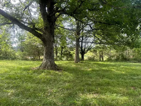 778 Nc 8872, Deer, AR 72628 photo 9