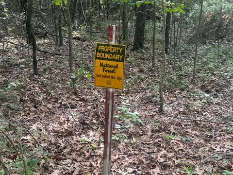 778 Nc 8872, Deer, AR 72628 photo 30
