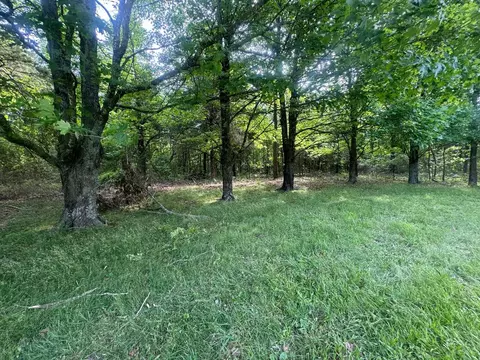 778 Nc 8872, Deer, AR 72628 photo 28