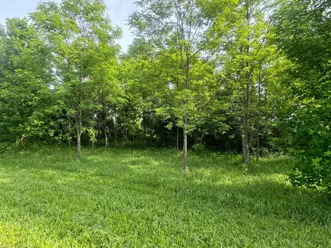 778 Nc 8872, Deer, AR 72628 photo 17