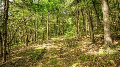 Other - 2811 N Harmon Rd, Harrison, AR 72601 photo 6 of 19