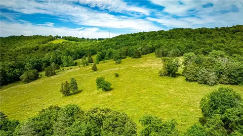 Other - 2811 N Harmon Rd, Harrison, AR 72601 photo 1 of 19