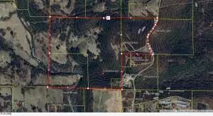 Other - 2811 N Harmon Rd, Harrison, AR 72601 photo 19 of 19