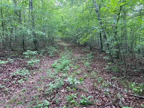 Mercy Lane, Gilbert, AR 72636 photo 14