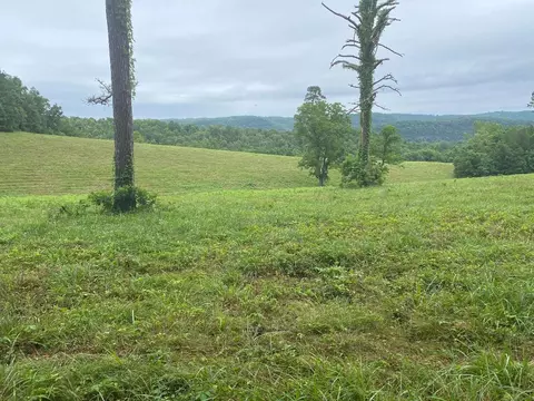 Mercy Lane, Gilbert, AR 72636 photo 2
