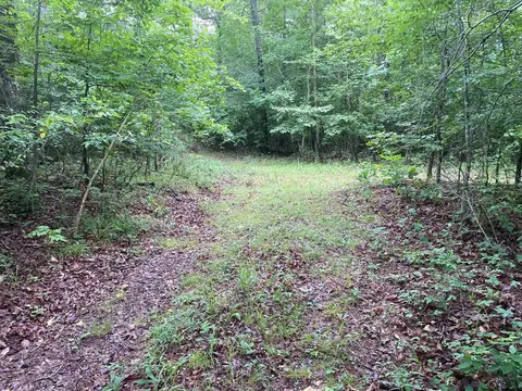 Mercy Lane, Gilbert, AR 72636 photo 15