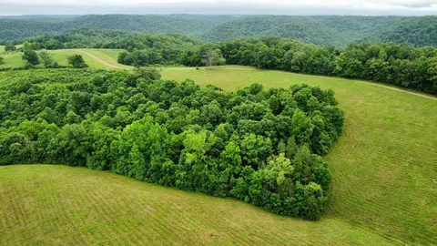 Mercy Lane, Gilbert, AR 72636 photo 10