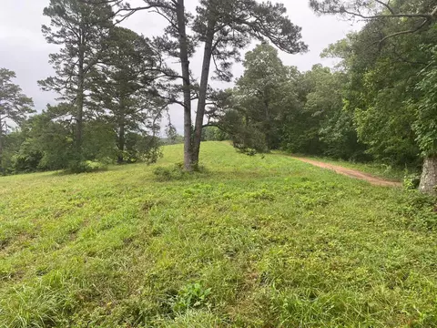 Mercy Lane, Gilbert, AR 72636 photo 11