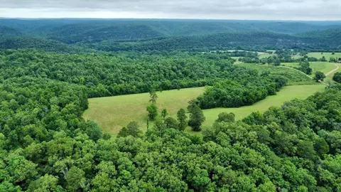 Mercy Lane, Gilbert, AR 72636 photo 26