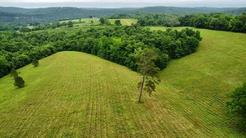 Mercy Lane, Gilbert, AR 72636 photo 8