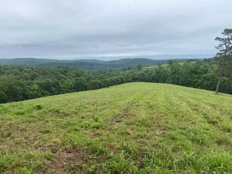 Mercy Lane, Gilbert, AR 72636 photo 3