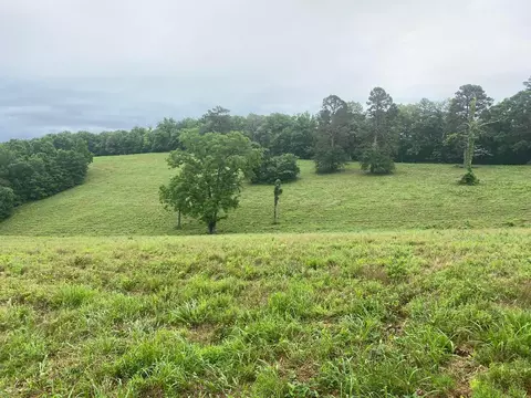 Mercy Lane, Gilbert, AR 72636 photo 6