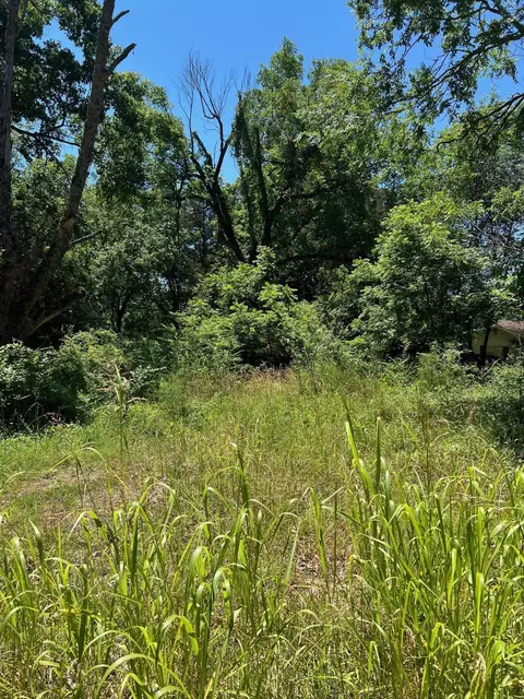 130 Doe St, Diamond City, AR 72630