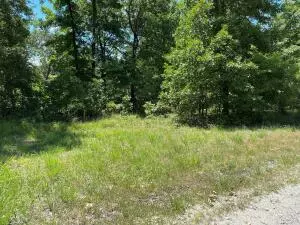 lot C Robinwood Ln, Yellville, AR 72687