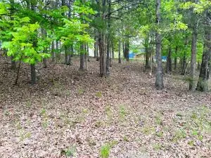 tbd Mallard Dr, Diamond City, AR 72630
