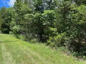tbd E Larchwood Dr, Diamond City, AR 72644