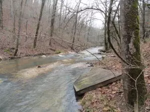 875 Rocky Creek Ln, Marshall, AR 72650 photo 35