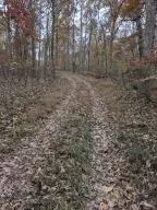 875 Rocky Creek Ln, Marshall, AR 72650 photo 9