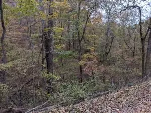 875 Rocky Creek Ln, Marshall, AR 72650 photo 11