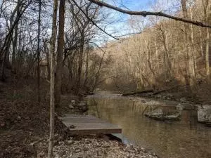 875 Rocky Creek Ln, Marshall, AR 72650 photo 6
