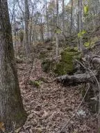 875 Rocky Creek Ln, Marshall, AR 72650 photo 15